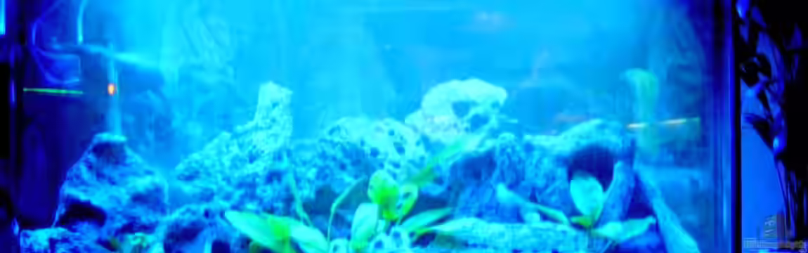 Becken 492 von Christian Poser