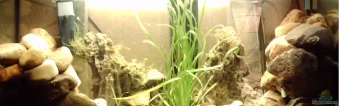 Becken 4945 von Jörg Rühlemann