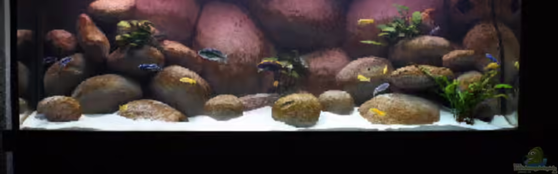 Becken 4982 von Dicker1904