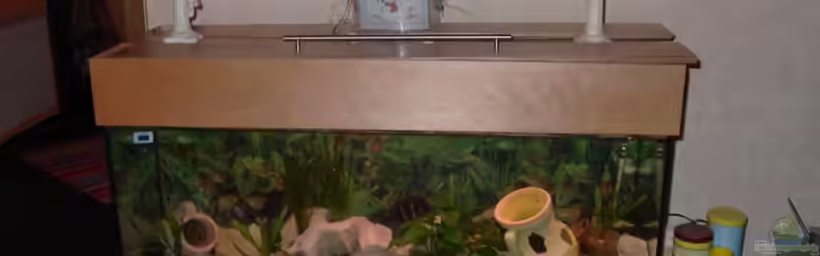 Becken 4983 von Michael Wentzel