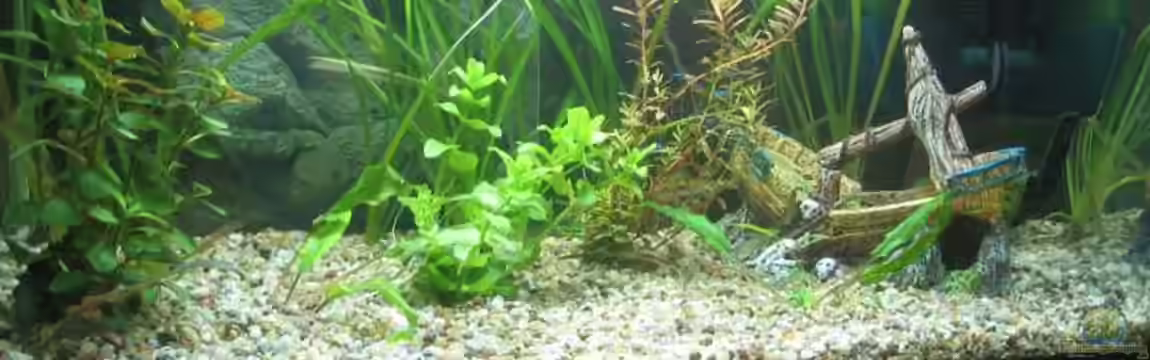 Becken 5027 von Sven Lührs