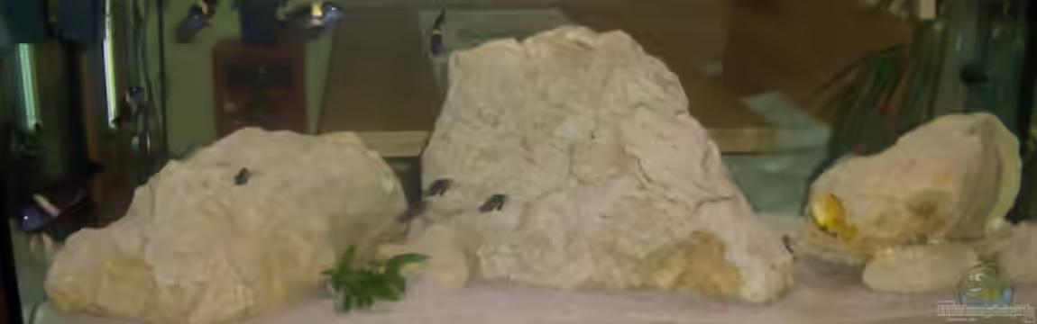 Becken 5049 von KevP79