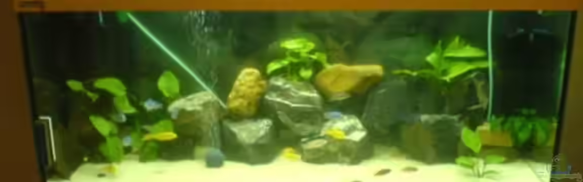 Becken 5074 von Heiko Rodegast