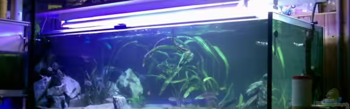 Becken 510 von Roger Mayer