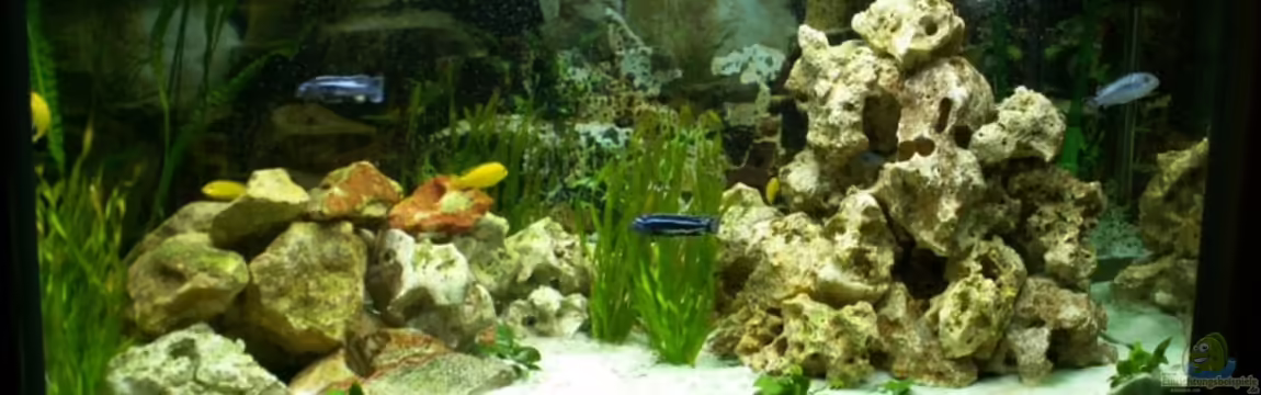 Becken 5108 von Heiko Voigt