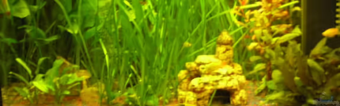 Becken 5143 von Martin Netek