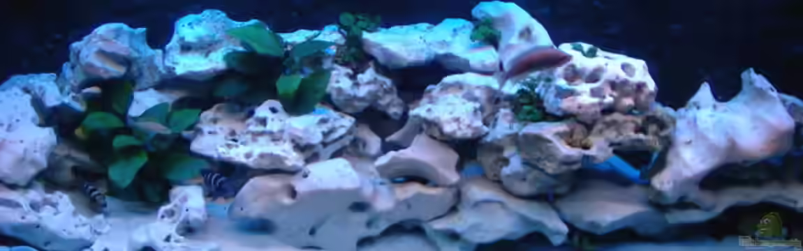 Becken 516 von Manuela Schmidt & Marc Weise