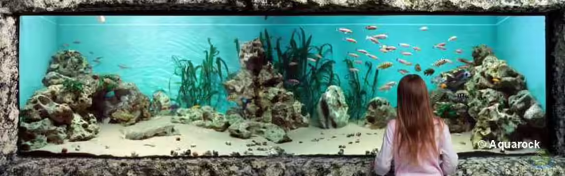 Becken 5187 von Thomas Mörschel