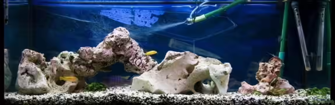 Becken 5193 von Volker Katers