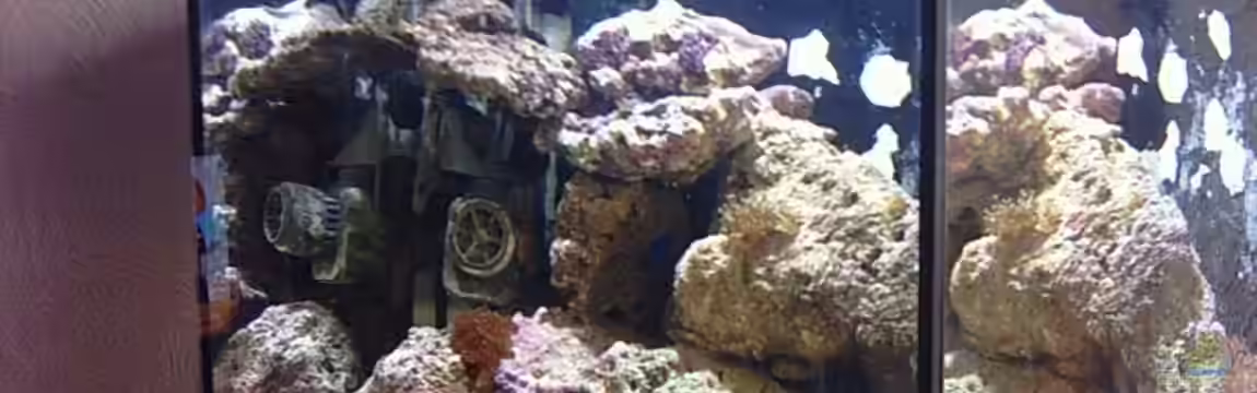 Becken 5200 von Benjamin Burzlaff