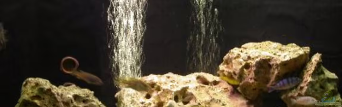 Becken 522 von Rihtarsic Bojan