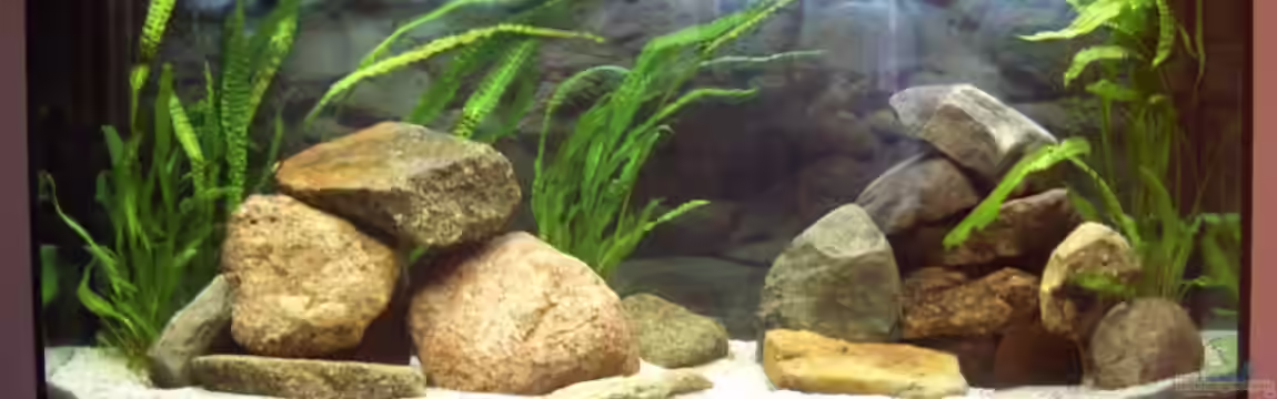 Becken 5250 von various77