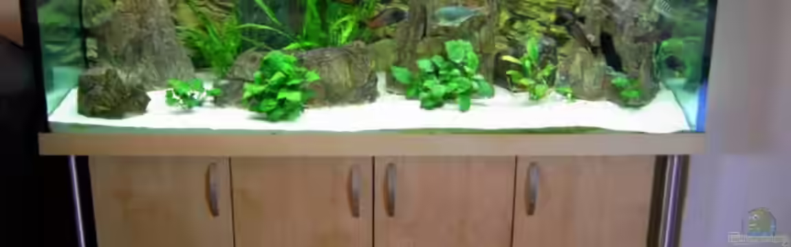 Becken 5280 von Enrico Pinkert