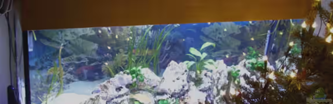 Becken 53 von Benjamin Heinzel