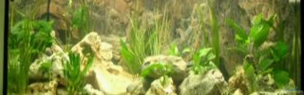 Becken 532 von Frank Blessing