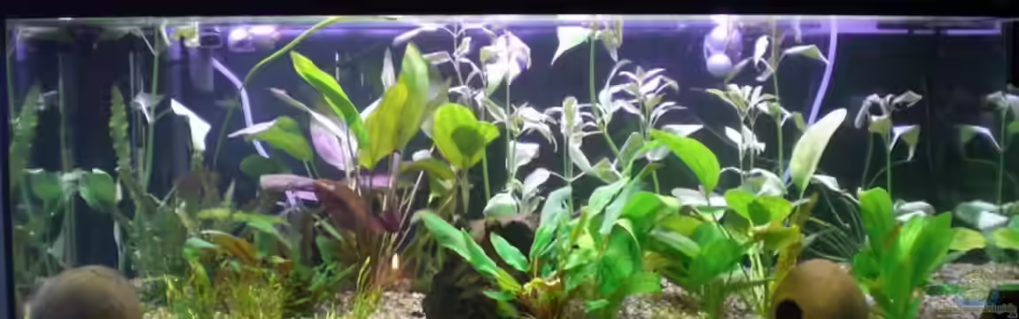 Becken 5351 von Rene´ Jockwer