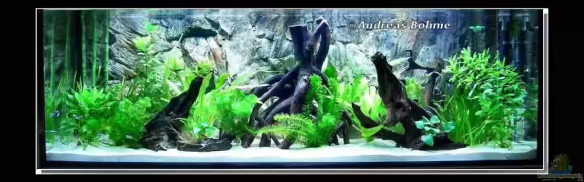 Becken 5408 von Andreas Böhme