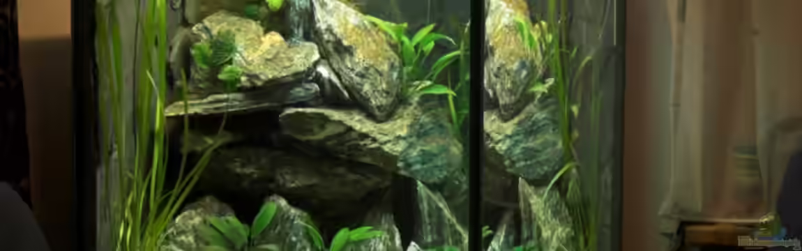 Becken 5428 von Oxid