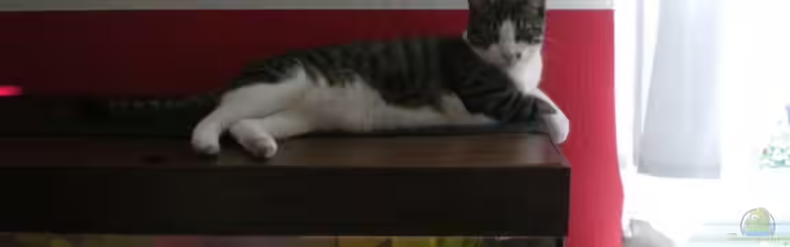 Becken 5430 von Thomas Weißleder