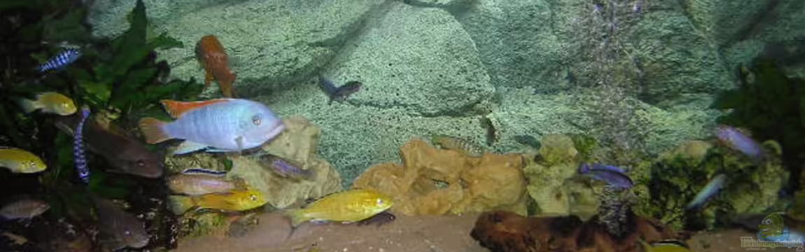 Becken 545 von Mario Matthes