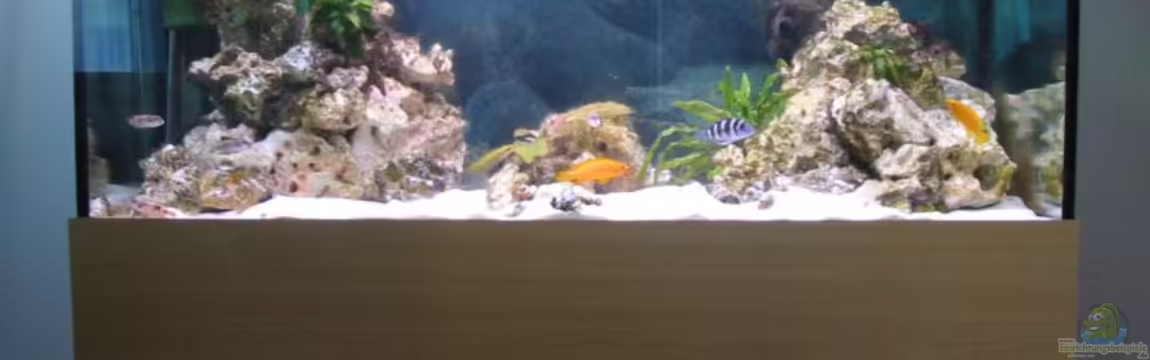 Becken 547 von Felix Fabian