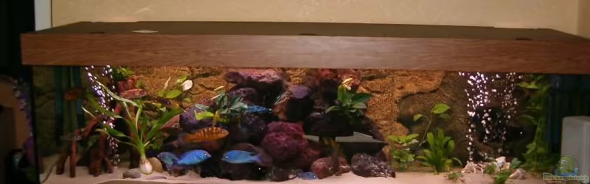 Becken 5482 von Marion Goike