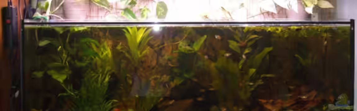 Becken 5524 von Lars Lange