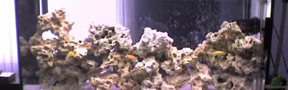 Becken 5558 von Patrick Schmitt