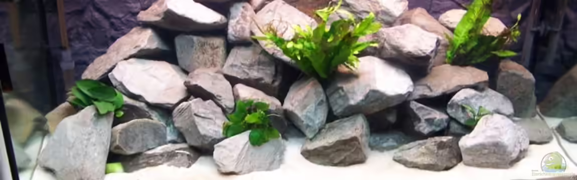 Becken 5620 von Stephan Germann