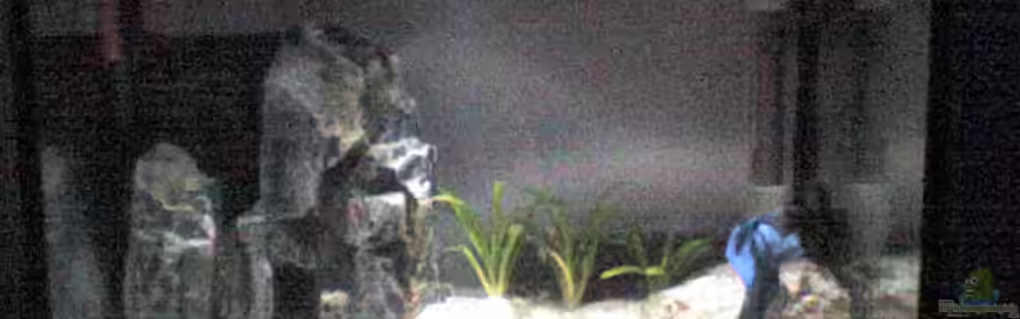 Becken 5645 von Patrick Schmitt