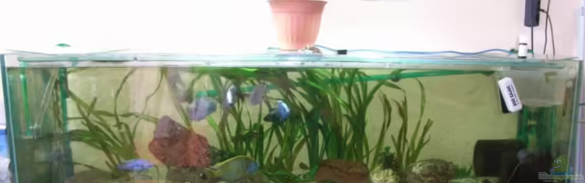 Becken 5662 von Patrick Kowalski