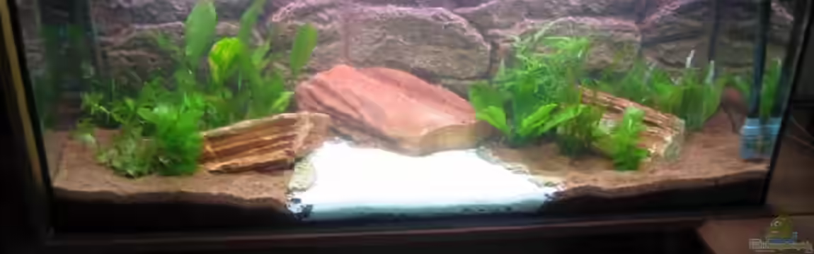 Becken 5671 von Scitec