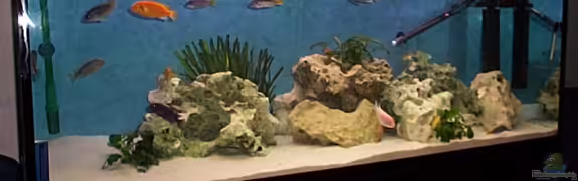 Becken 57 von Frank Georges