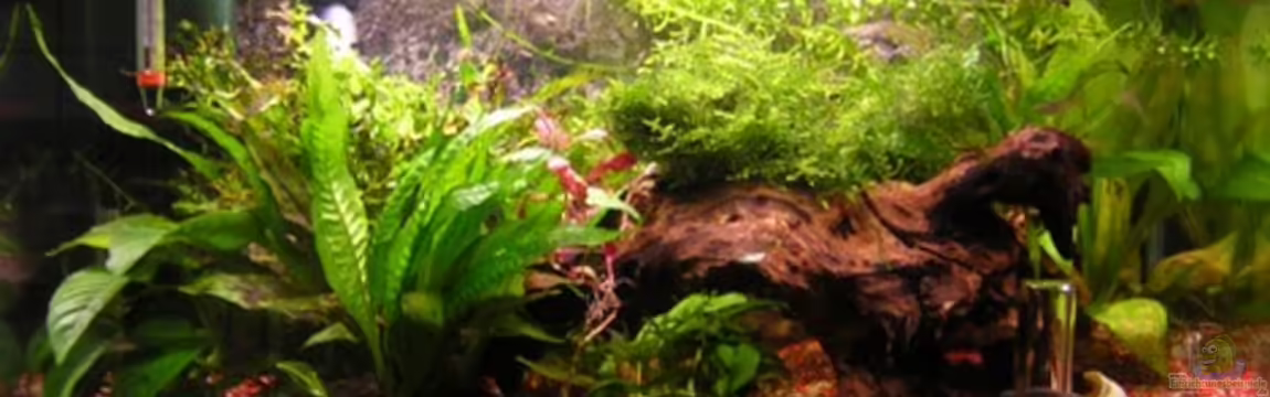 Becken 5704 von Peter Töws