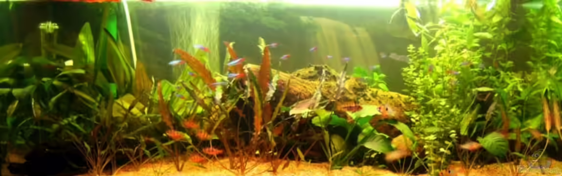 Becken 5735 von Markus Thummerer