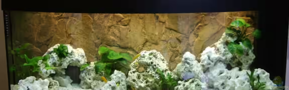 Becken 5821 von Maik Wirsing