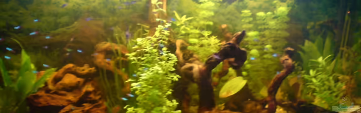 Becken 5826 von Tobias Friese