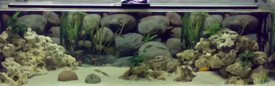 Becken 5831 von Carsten Stange