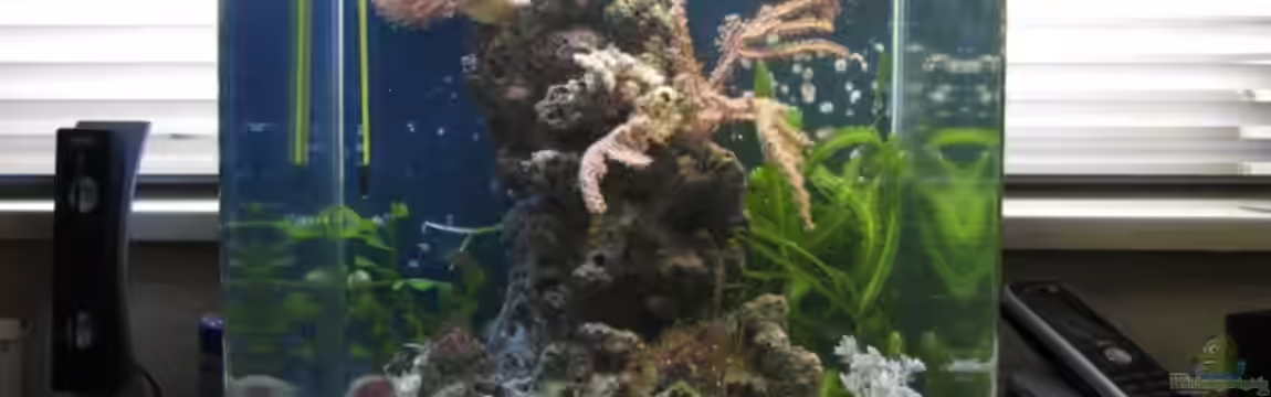 Becken 5843 von Petra Kallmeyer