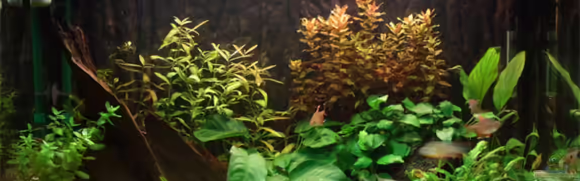 Becken 5848 von Michael Ahlborn