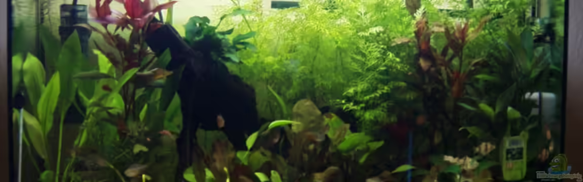 Becken 5872 von Oliver Strohschein