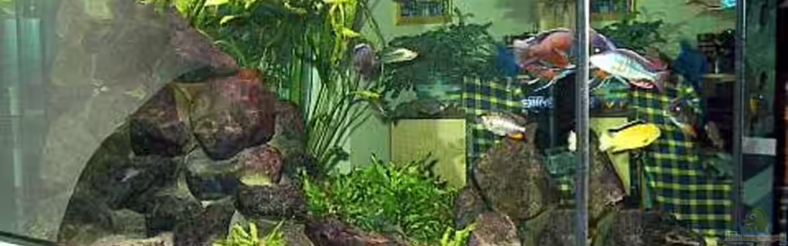 Becken 589 von Ingo Bertelmann