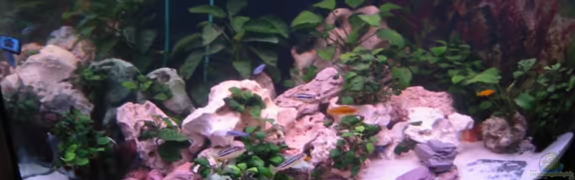 Becken 5905 von Mario Strutz