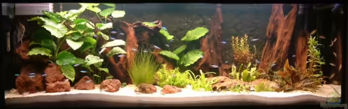 Becken 5906 von Oliver Schürmann