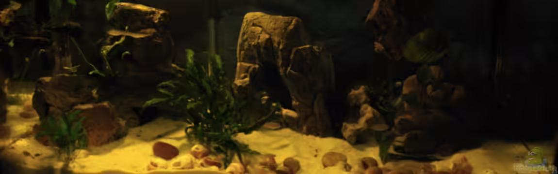 Becken 5962 von Chris Wittemann