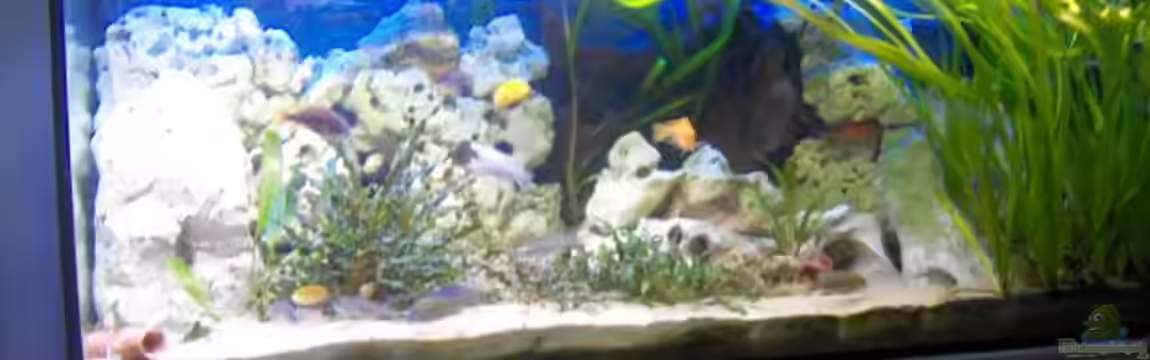 Becken 6000 von Marcel Lüthi