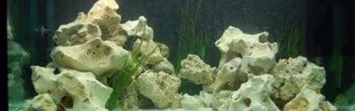 Becken 6045 von Nikolai Straub-Hansen