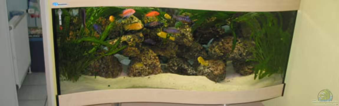 Becken 607 von Daniel Hieber