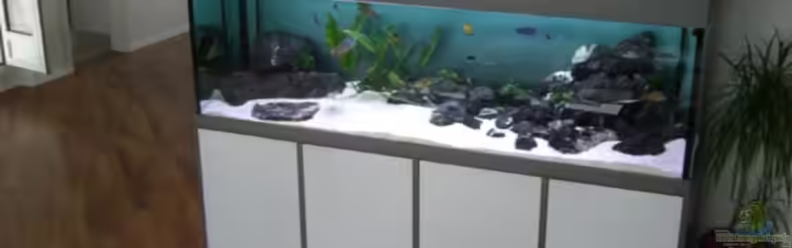 Becken 6090 von Eveline Wiss