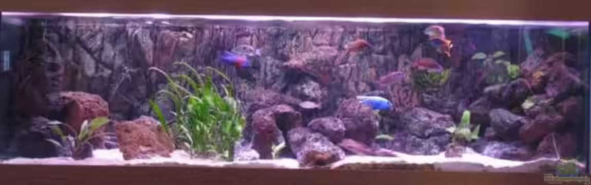 Becken 610 von Jan Kadletz